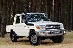 If you want a no-nonsense 'bring-it-on' bushwhacker, try this.