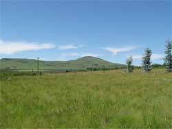 Data from a comprehensive audit of all land in South Africa will be used to create a detailed property register of privately owned properties. Image: