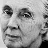 China pillaging Africa like colonialists says Jane Goodall