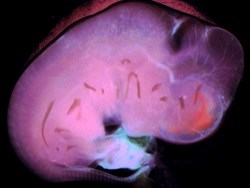 Photo by David Feliciano<p>Source: Yale University