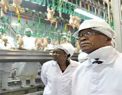 President Jacob Zuma inside the abattoir during his visit to Granfield. Image: