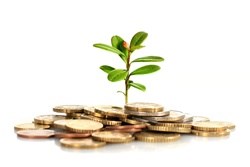 Investment in Africa a must to succeed