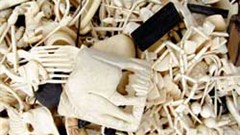 Rakuten needs to withdraw all ivory products from its websites claims the EIA. Image: