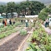 Reliance Compost, City of Cape Town celebrate waste management
