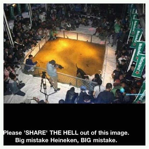 When viral becomes virus