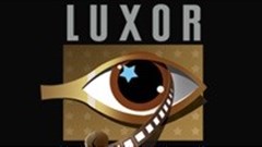 Luxor African Film Festival winners