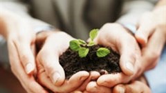 Research can give you the seed of an idea… that can then grow and become a major success.