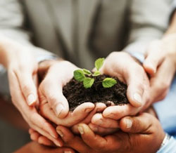 Research can give you the seed of an idea… that can then grow and become a major success.