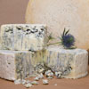 Expect more at the SA Cheese Festival