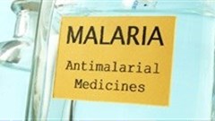 Two million children in Zambia receive antimalarial treatment