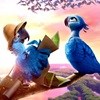 Vibrant verve in Rio 2