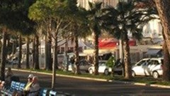 Cannes Lions announces final juries