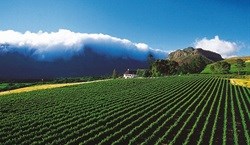 Richard Branson set to purchase property in Franschhoek