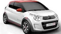 Citroen will introduce more models to its range in an effort to penetrate global markets. Image: