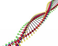 Single mutation causes rare brain disorder