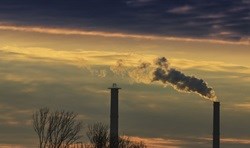 Policy proposing carbon offset scheme published