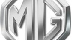 The future of MG in South Africa