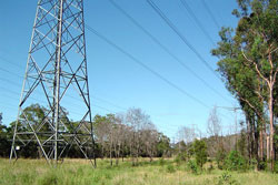 (Image: Shiftchange, via Wikimedia Commons)