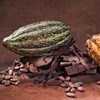 Future may be bitter for chocolate lovers, leading processor warns