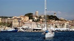 Cannes Lions honours Joe Pytka with the Lion of St Mark