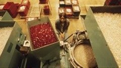 SA manufacturing 'pulls African growth down'