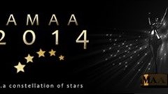 All the AMAA 2014 winners