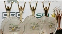 Enter the 2014 Stevie Awards