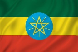 Ethiopia under fire over journalist's arrest, detention