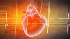 Greenacres Hospital adds R30-million to cardiac facility