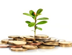 CFA conference to discuss investment opportunities in Africa