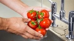 Consumers' responsibility to food safety