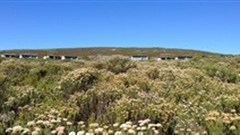 Grootbos... In for The Long Run