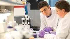 Scientists discover new route to boost pancreatic cancer treatment