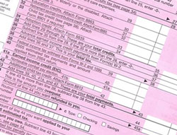 (Image: Wikimedia Commons)