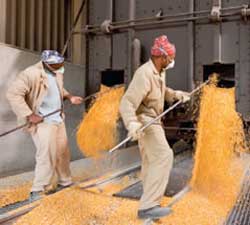 Workers at Tongaat Hulett's refinery in Clairwood are refusing to go back to work despite an agreement being signed between union bosses and company management. Image: Tongaat Hulett