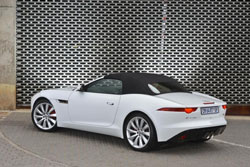 Jaguar claws its way to the top