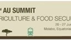 An open letter to AU's heads of state