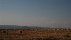 [Agribusiness & Food World Forum] David vs. Goliath: a revolution in Africa's farm structures