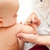 Infant immune systems learn fast, but have short memories