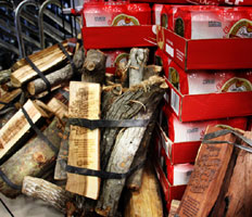 34 saving indigenous forests one braai at a time with Castle Lager