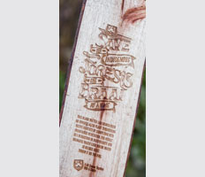 34 saving indigenous forests one braai at a time with Castle Lager