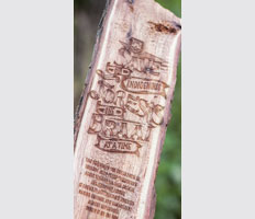 34 saving indigenous forests one braai at a time with Castle Lager