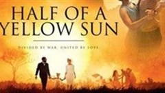 PanaTV to exclusively screen Nigerian film in UK, US