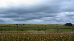 [Climate changing the face of agriculture]: Part 2 - Farmers fight against climate change