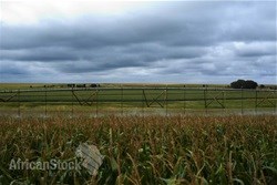 [Climate changing the face of agriculture]: Part 2 - Farmers fight against climate change