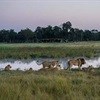 New Linkwasha Camp in Hwange National Park