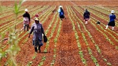 Profitable partners or partners facing painful problems?