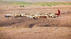 $4m in projects to strengthen Tanzania's agricultural productivity