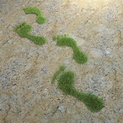 Tshwane reveals details to reduce carbon footprint