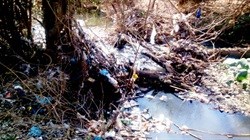 'Clean, Clean, Clean' this Mandela Day